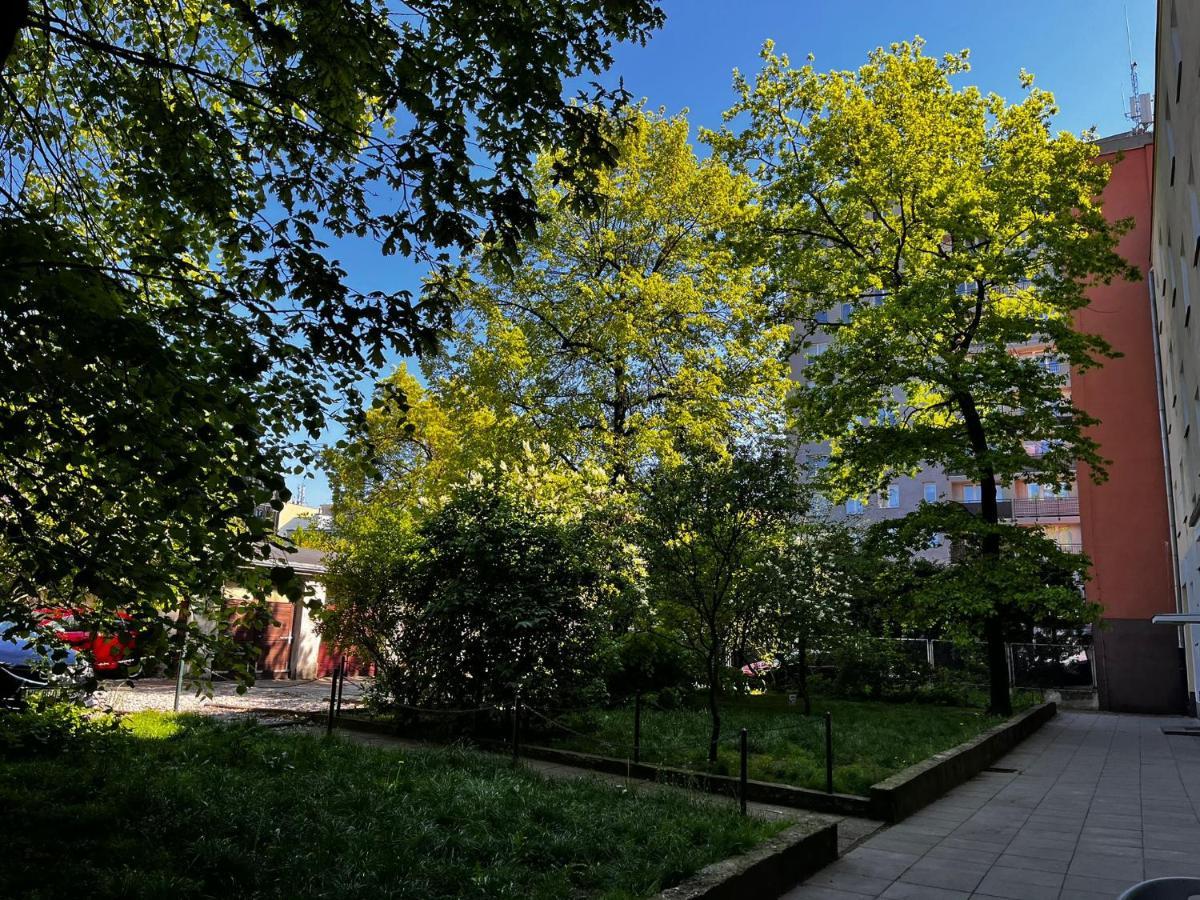 Studio Close To Royal Lazienki Park, Недалеко От Олинек Warsaw Exterior photo